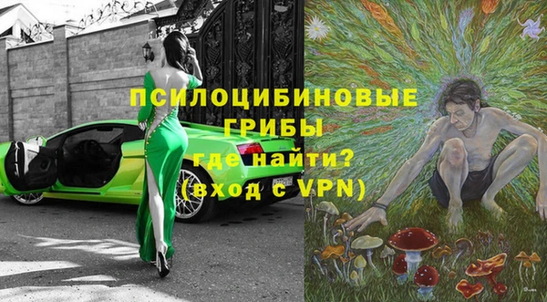 ГАЛЛЮЦИНОГЕННЫЕ ГРИБЫ Арсеньев