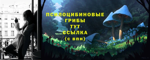 винт Армянск