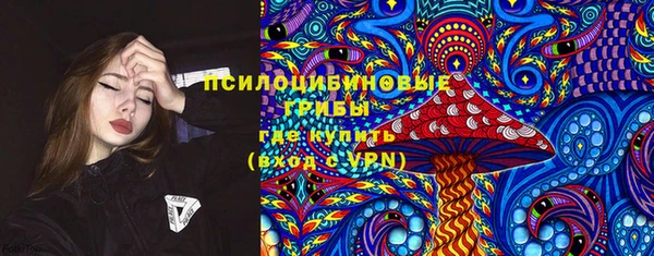 ГАЛЛЮЦИНОГЕННЫЕ ГРИБЫ Арсеньев