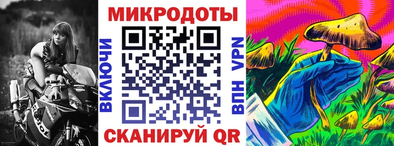 закладка  Спасск-Дальний  Галлюциногенные грибы Psilocybine cubensis 